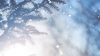 Opening Hours Holiday Season 2018